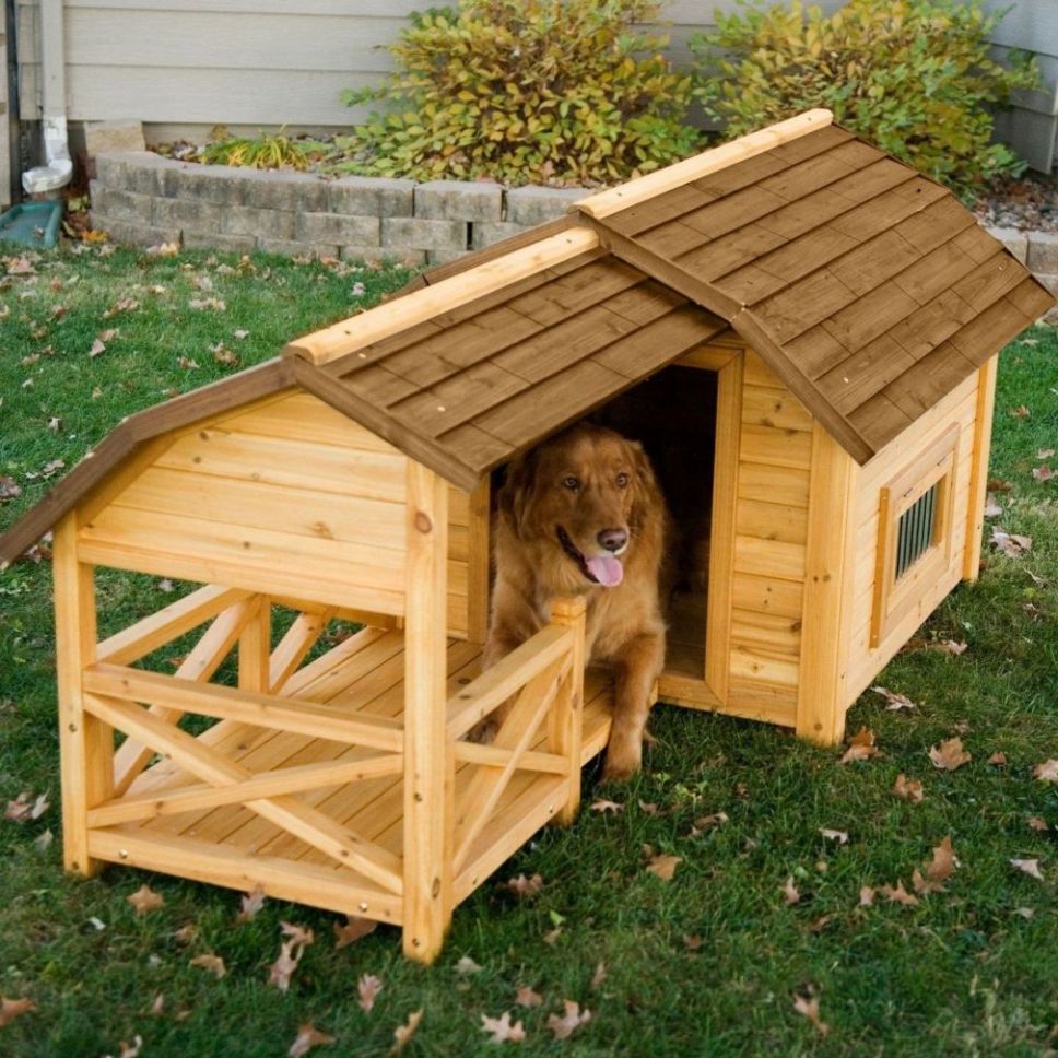 dog playpen Pet House Sustaina - Sustainable Living House ulasan dan harga